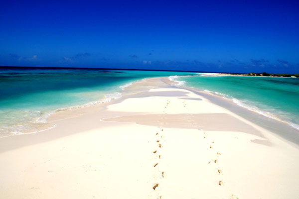 Paquetes a Los Roques