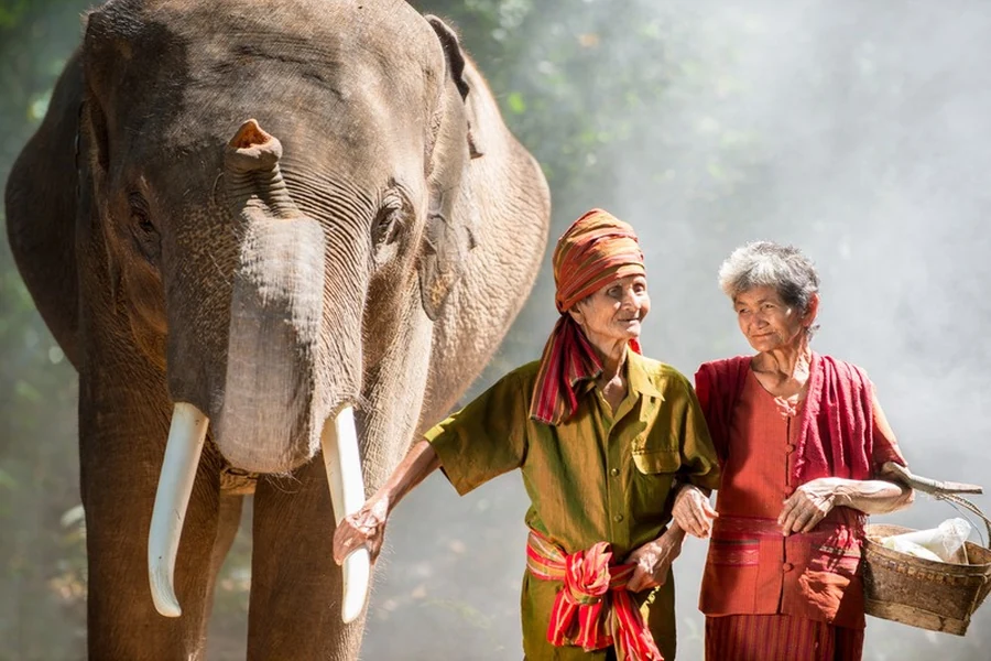 Elefantes y comunidad local en Tailandia